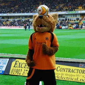 Wolfie & Wendy: The Legendary Wolverhampton Wanderers Duo
