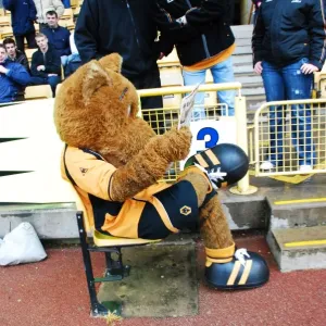 Wolfie & Wendy: The Legendary Wolves Duo of Wolverhampton Wanderers