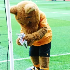 Wolfie & Wendy: The Mascots of Wolverhampton Wanderers Football Club