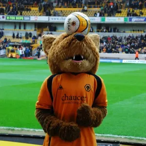Wolfie and Wendy: The Playful Mascots of Wolverhampton Wanderers Football Club