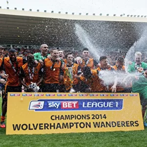 Sky Bet League One Poster Print Collection: Sky Bet League One : Wolves v Carlisle United : Molineux : 03-04-2014