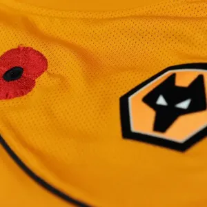 Wolverhampton Wanderers in Poppy Tribute: Wolves vs. Wigan Athletic, Premier League