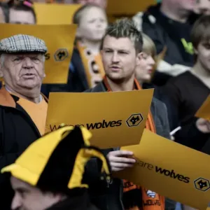 Wolverhampton Wanderers Promote to Championship: Unforgettable Moment vs. QPR (08/09)
