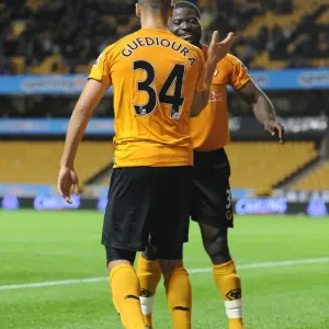 Wolverhampton Wanderers Triumph: Elokobi and Guedioura's Goals Secure 3-0 Carling Cup Victory over Millwall Wolverhampton Wanderers Triumph: Elokobi and Guedioura's Goals Secure 3-0 Carling Cup Victory over Millwall