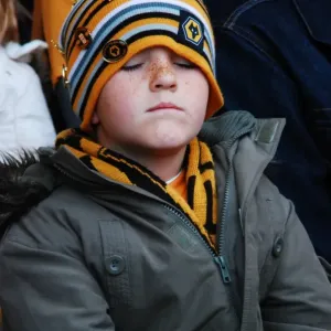 Wolverhampton Wanderers: Unforgettable 08-09 - Championship Title Win: Rising Champions on the Road to Champions League (Championship Champions Celebration)
