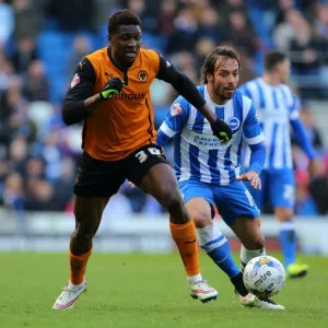 Sky Bet Championship Poster Print Collection: Sky Bet Championship - Brighton and Hove Albion v Wolves - AMEX Stadium