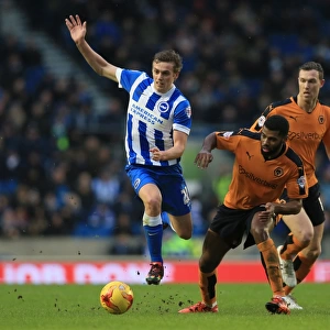 Wolverhampton Wanderers vs Brighton & Hove Albion: A Battle for Supremacy in the Sky Bet Championship (2015-16)