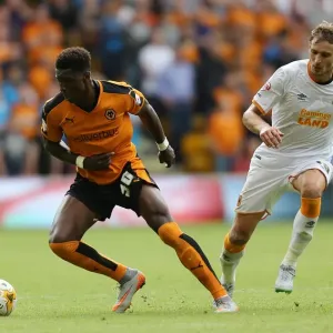 Wolverhampton Wanderers vs Hull City: Clash at Molineux - Kortney Hause vs Nikica Jelavic (Sky Bet Championship)