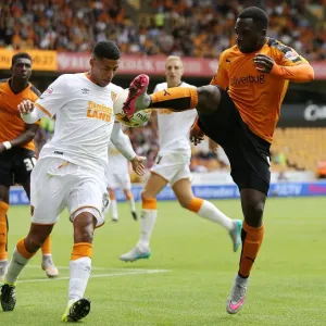 Wolves vs Hull City Showdown: A Championship Clash between Nouha Dicko and Curtis Davis