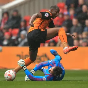 Wolves vs. Nottingham Forest: A Clash of Titans in the Sky Bet Championship - Afobe vs. Darlow at City Ground Wolves vs. Nottingham Forest: A Clash of Titans in the Sky Bet Championship - Afobe vs. Darlow at City Ground