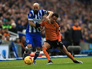 Sky Bet Championship - Brighton And Hove Albion V Wolves - AMEX Stadium Prints: Battling for Supremacy: Saltor vs