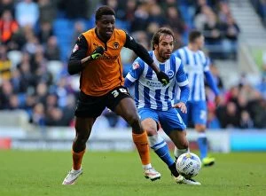 Sky Bet Championship Collection: Sky Bet Championship - Brighton and Hove Albion v Wolves - AMEX Stadium