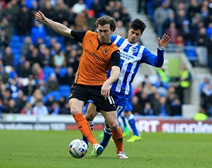 Sky Bet Championship - Brighton and Hove Albion v Wolves - AMEX Stadium Sky Bet Championship - Brighton and Hove Albion v Wolves - AMEX Stadium
