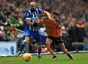 Sky Bet Championship Prints: Sky Bet Championship - Brighton and Hove Albion v Wolves - AMEX Stadium
