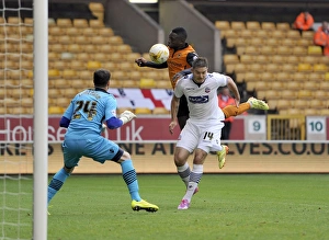 Sky Bet Championship Collection: Sky Bet Championship - Wolves v Bolton Wanderers - Molineux