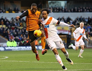 Sky Bet Championship - Wolves V Blackpool - Molineux Stadium Prints: Sky Bet Championship - Wolverhampton Wanderers v Blackpool - Molineux Stadium