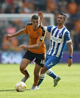 Sky Bet Championship - Wolves v Brighton and Hove Albion - Molineux