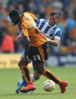 Sky Bet Championship Gallery: Sky Bet Championship - Wolves v Brighton and Hove Albion - Molineux