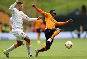 Sky Bet Championship Collection: Sky Bet Championship - Wolves v Hull City - Molineux