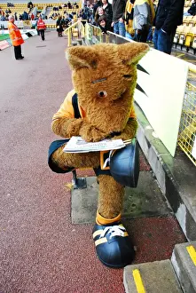 Wolfie & Wendy: The Iconic Wolves Duo of Wolverhampton Wanderers