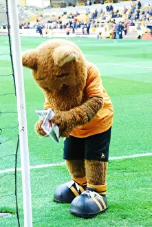 Wolfie & Wendy: The Mascots of Wolverhampton Wanderers Football Club