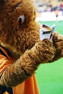 Wolfie & Wendy: The Unforgettable Wolves Duo of Wolverhampton Wanderers