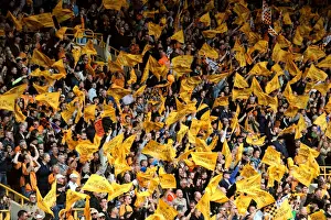 Matches 08-09 Prints: Wolverhampton Wanderers: Euphoric Championship Win - Celebrating Promotion to the Premier League
