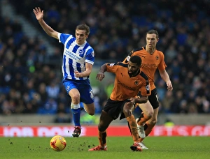 Sky Bet Championship Prints: Wolverhampton Wanderers vs Brighton & Hove Albion: A Battle for Supremacy in the Sky Bet Championship (2015-16)