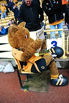 Wolverhampton Wanderers: Wolfie & Wendy - The Beloved Mascots