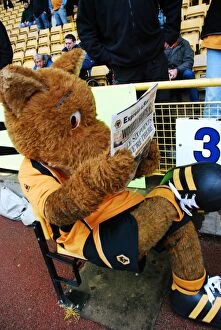 Images Dated 10th April 2009: Wolverhampton Wanderers: Wolfie & Wendy - The Iconic Wolf Mascots