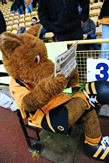 Wolverhampton Wanderers: Wolfie & Wendy - The Iconic Wolf Mascots