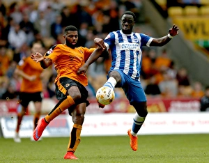 Sky Bet Championship - Wolves V Brighton And Hove Albion - Molineux Prints: Wolves vs Brighton: Ebanks-Landell vs Manu - Championship Battle at Molineux
